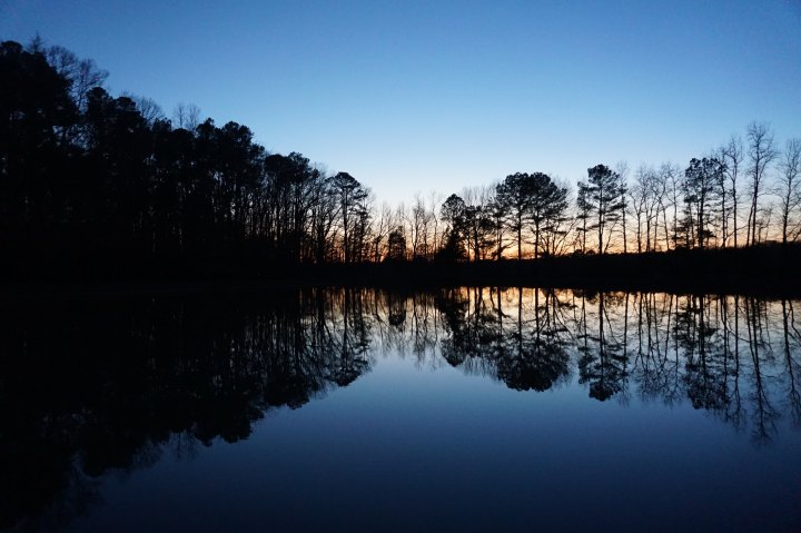 What I’m Reading: Where the Crawdads&nbsp;Sing